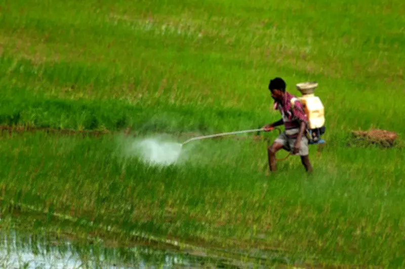 Tenant Farmers in Telangana Face Digital Barriers in Accessing Welfare Benefits