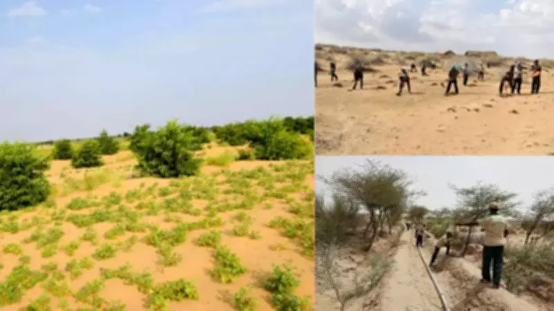 Thar Desert's Green Revolution: Success or Environmental Challenge?