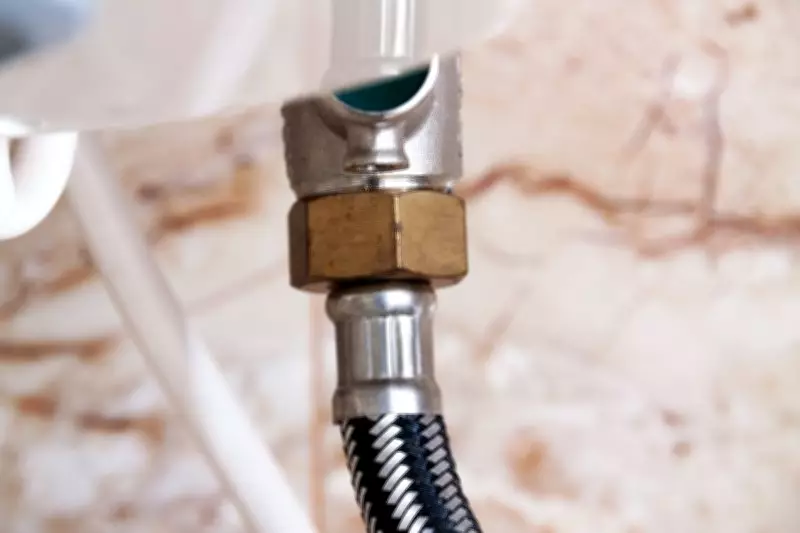 The nut that yielded to soft hands: A sister's ingenuity