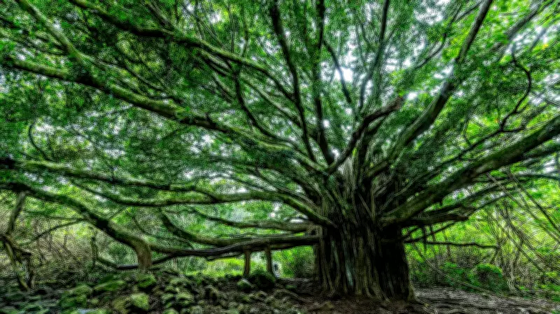 The Trees That Ask for Nothing: A Tribute to Urban Avenue Trees