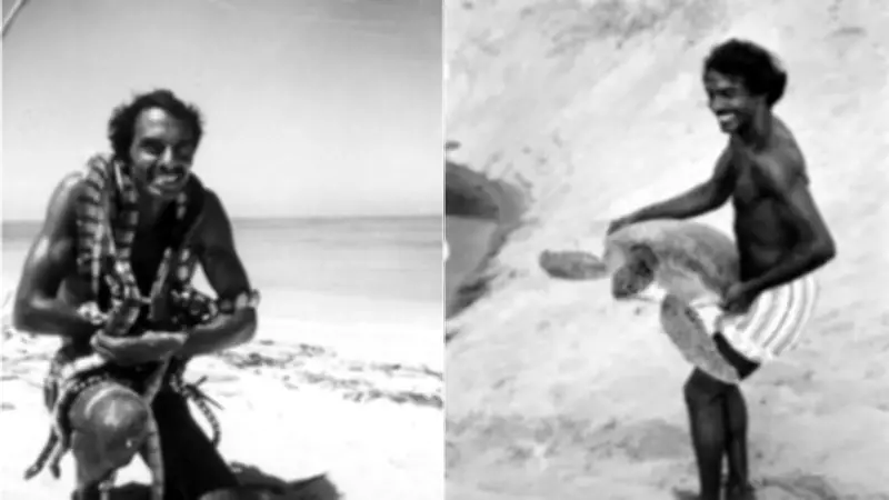 The Turtle Walker: IIT Graduate Who Mapped India's Nesting Beaches