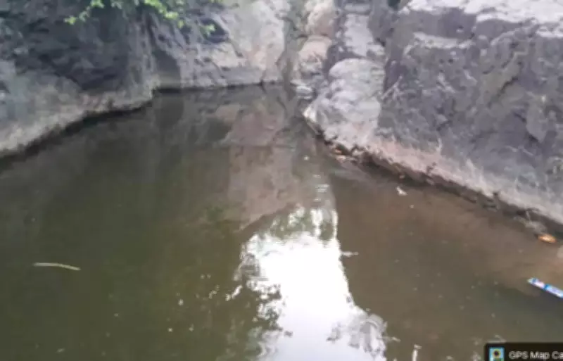 Three brothers drown in Narmada pond in Nandurbar, police say