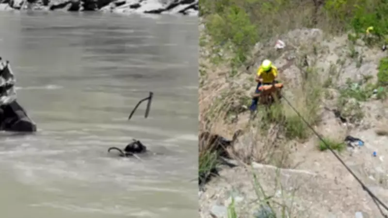 Three Dead, Four Missing as Pilgrims' Car Plunges into Alaknanda River