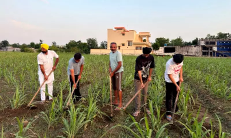 Three Generations, One Vision: Family's Organic Farming Legacy in Jalandhar
