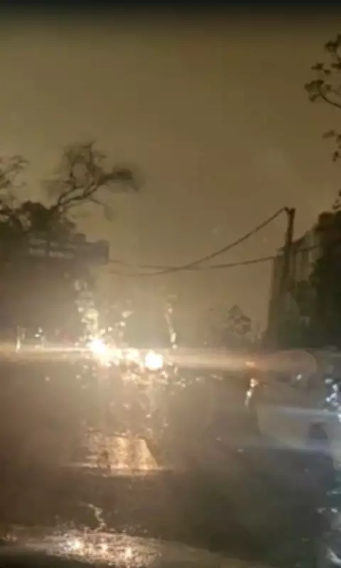 Thunderstorm Sweeps Across Haryana's Hisar After IMD Alert, Uproots Trees