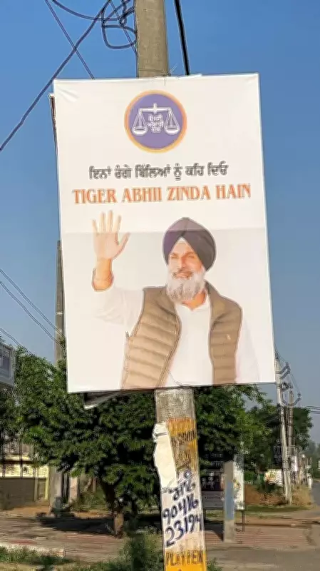 Tiger Abhi Zinda Hai Posters Counter Missing Campaign in Majitha