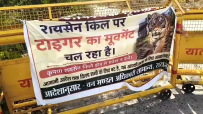 Tiger Roams Raisen Fort Hill in Bhopal, Tourist Access Restricted