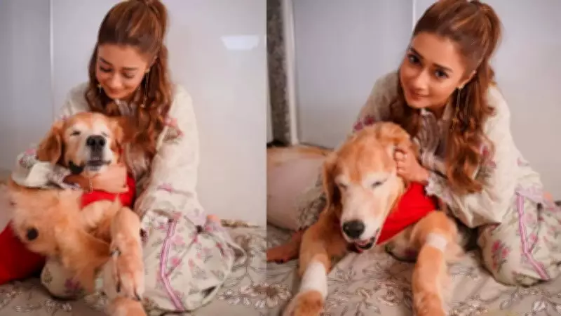 Tina Datta Mourns Pet Dog's Death, Calls Him 'Greatest Love of My Life'