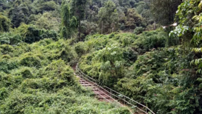 Tourist Entry Restricted at Karnataka's Yana Caves Due to Rain Safety