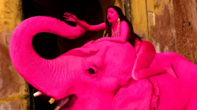 Toxic Reality: Painting Wild Animals Harms Their Microbiome