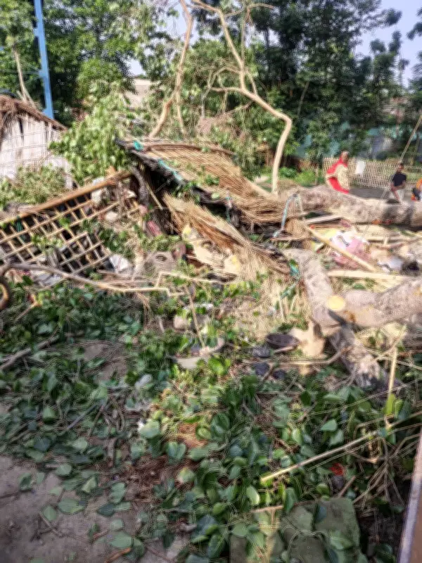 Tragedy in Sitamarhi: Tree falls on house, 5 of family dead