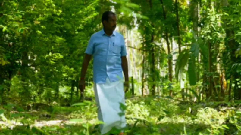 Tree-based agriculture boosts Cauvery basin farm incomes to Rs 3 lakh per acre