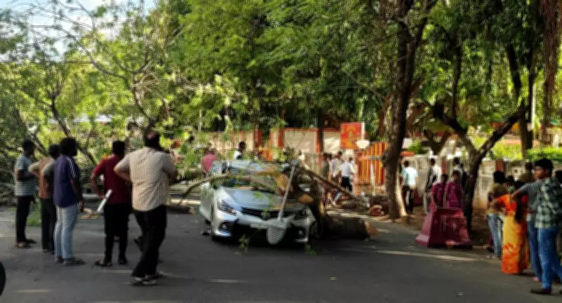 Tree Falls on Car and Bike in Trichy, Two Injured