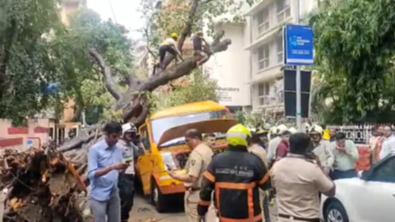 Tree Falls on School Bus in Mumbai's Chembur: 1 Student Killed, 4 Injured