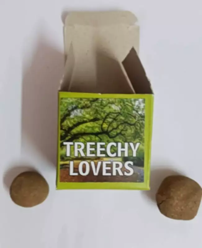 Trichy Groups Prepare 600 Seed Balls for World Environment Day at Holy Cross College