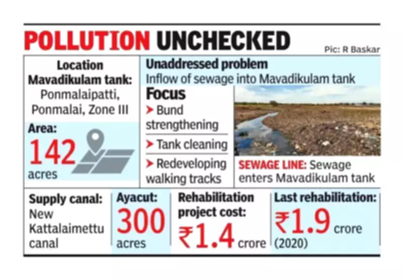 Trichy WRD Allocates Rs 1.4 Crore to Rehabilitate Mavadikulam Tank Despite Sewage Inflow