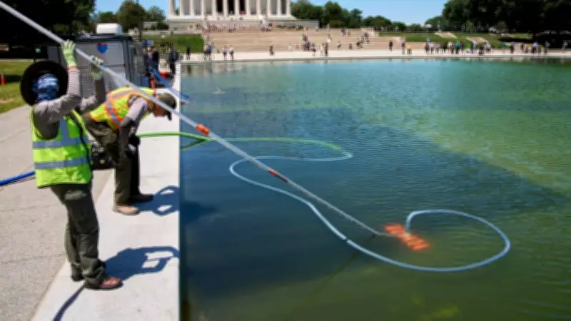 Trump: Several Arrests in Lincoln Memorial Reflecting Pool Vandalism