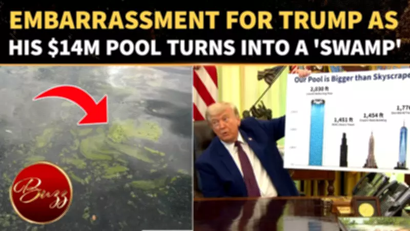 Trump's $14M Reflecting Pool Turns Green, Internet Mocks 'Swamp' Project