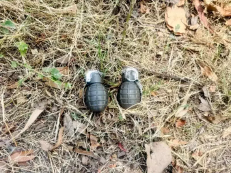 Two Arrested in Amritsar with Hand Grenades in Joint Anti-Terror Operation
