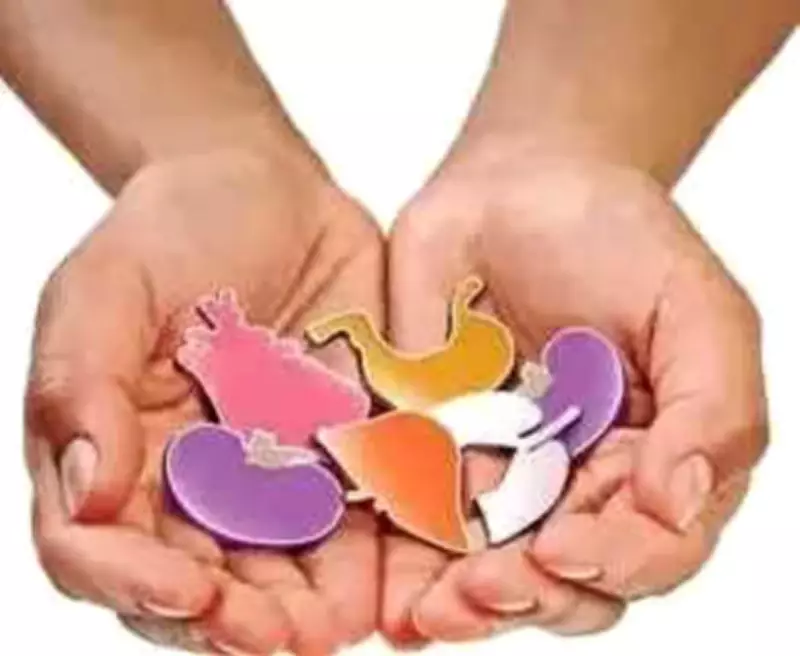 Two Brain-Dead Men's Organ Donations Save Multiple Lives in Madurai