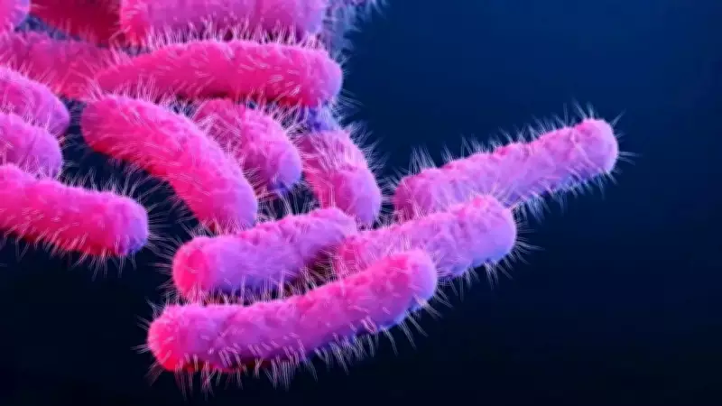 Two More Shigella Deaths in Kerala, Total Reaches Five This Year