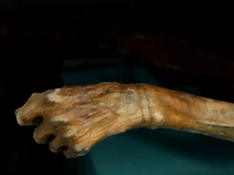 Ötzi the Iceman: 5,300-Year-Old Mummy Reveals Secrets of the Copper Age