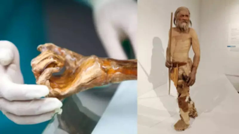Ötzi the Iceman's Microbiome Reveals Signs of Ancient Biological Activity