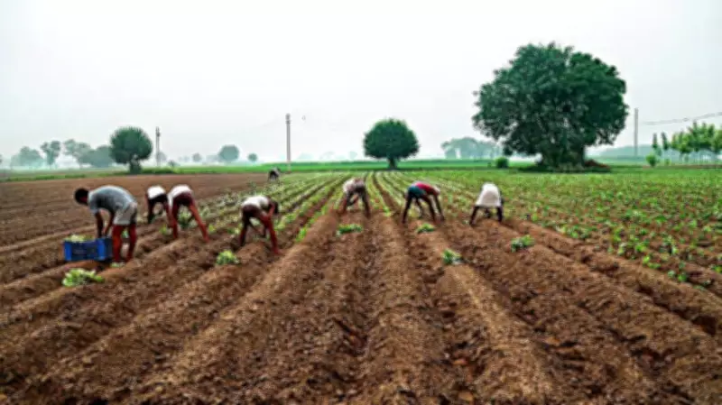 UAS Dharwad to Host Post-Graduate Research Conference on Agriculture