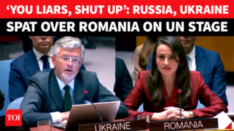 Ukraine Doubles Down on Russian Drone Claims in Romania, Rejects Shootdown Theory