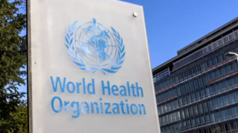 Unsafe Food Causes 866 Million Illnesses, 1.5 Million Deaths Annually: WHO
