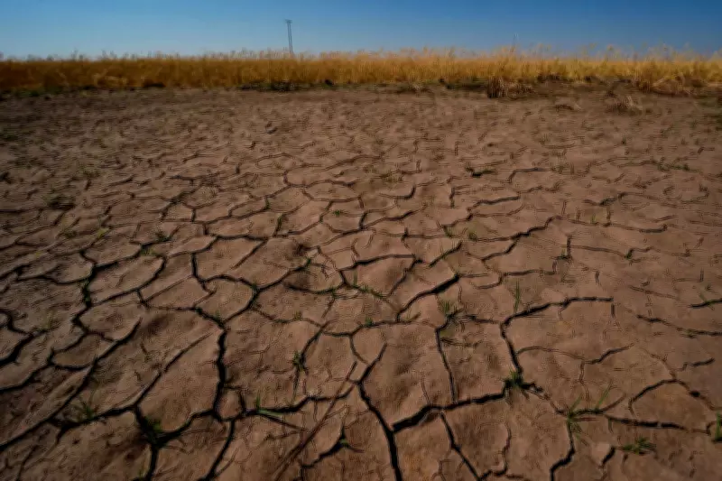 US Agencies Warn El Niño Could Be One of Strongest Ever, Impacting Global Weather