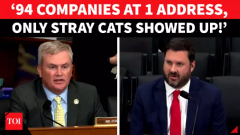 US Congress Hears Explosive Testimony on Ohio Medicaid Fraud Involving Stray Cats