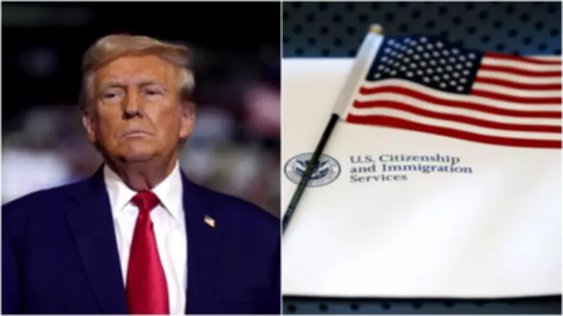 US Crackdown: Indian-Origin Man Among 17 Facing Denaturalisation