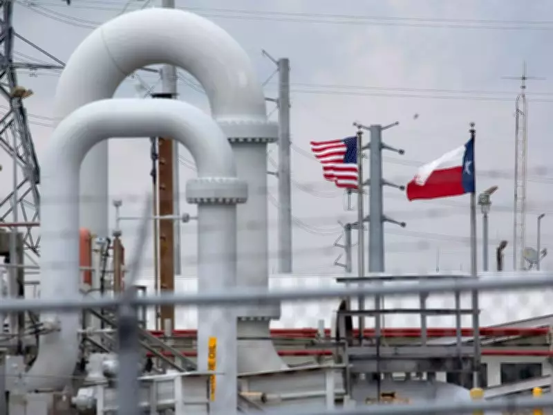 US Energy Exports Hit Record High in 2025, Net Exports Surge 20%