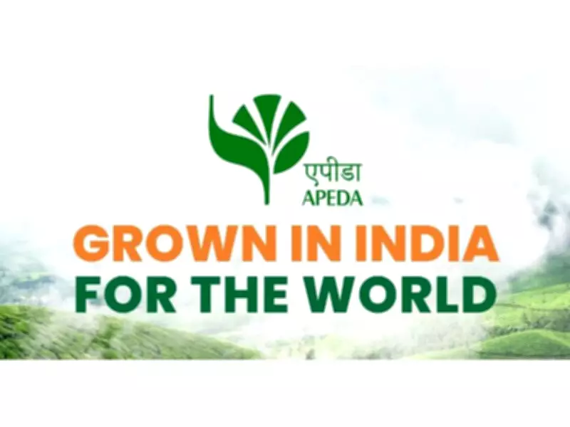 Uttarakhand's Premium Litchi Enters European Market with First Shipment to Italy