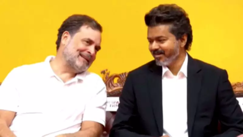 Vijay's TVK Offers Rajya Sabha Seat to Congress Ahead of June 18 Poll