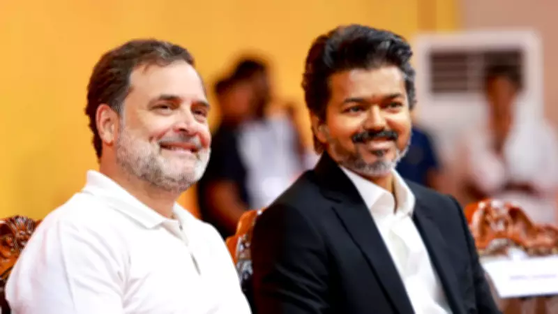 Vijay's TVK Skips India Bloc Meeting: Reasons Behind Absence