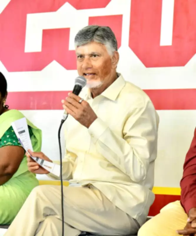 Visakha, Amaravati, Rayalaseema to be developed as hubs: CM Naidu