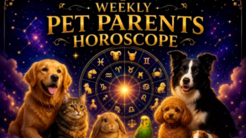 Weekly Pet Horoscope: Aries Pets Stubborn, Taurus Loves Routine, Gemini Talks