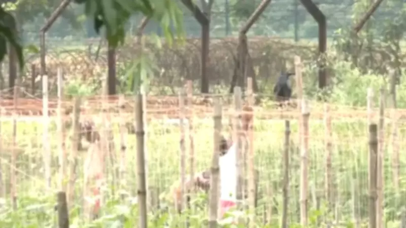 West Bengal Hands Over 32 Acres to BSF for Bangladesh Border Fencing