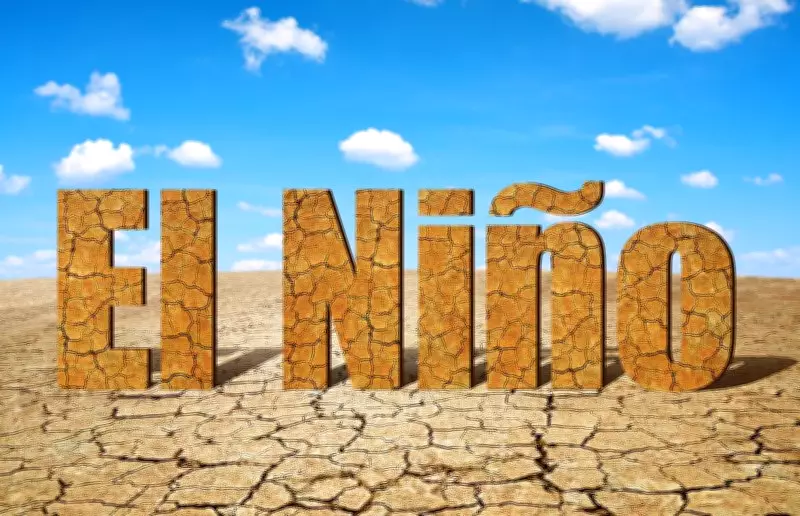 Why a Strong El Niño Leaves Tropical Commodities Acutely Exposed