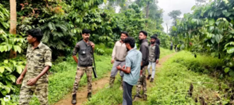 Wild Elephant Attempts to Attack Forest Team During Operation in Kodagu