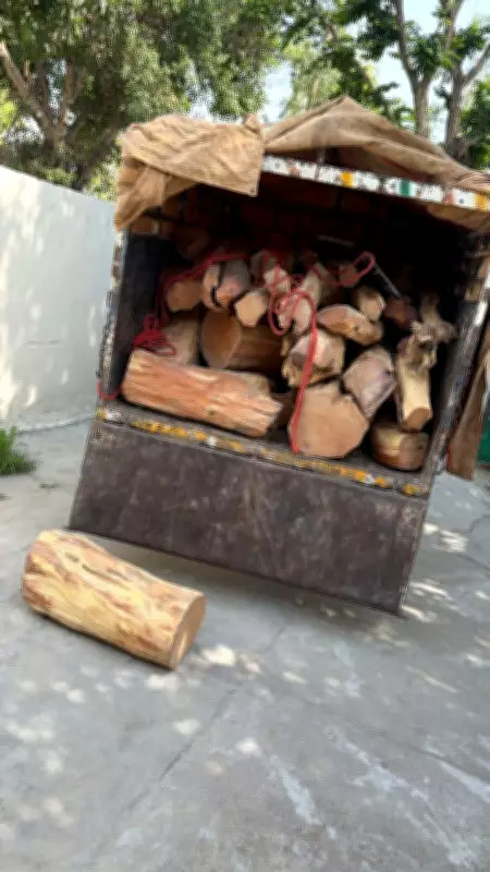 Wildlife Department Seizes 20 Quintals of Khair Wood in Yamunanagar