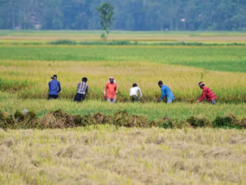 World Bank: South Asia Can Create Millions of Jobs via Agriculture