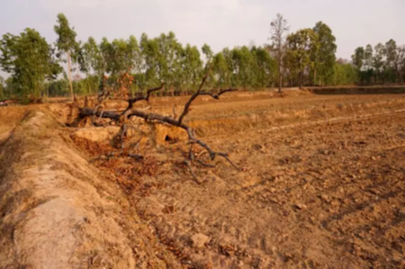 World Environment Day: Forest Dept Awaits Return of Hundreds of Acres of Land