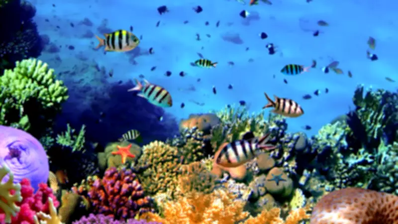 World Reef Awareness Day: 10 Unique Great Barrier Reef Facts Every Traveler Should Know