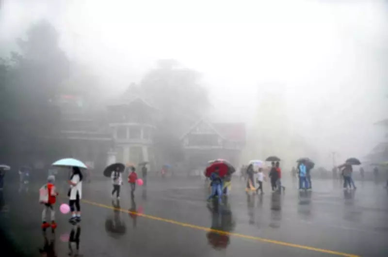 Yellow Alert Issued for 5 Himachal Districts as Rain Continues