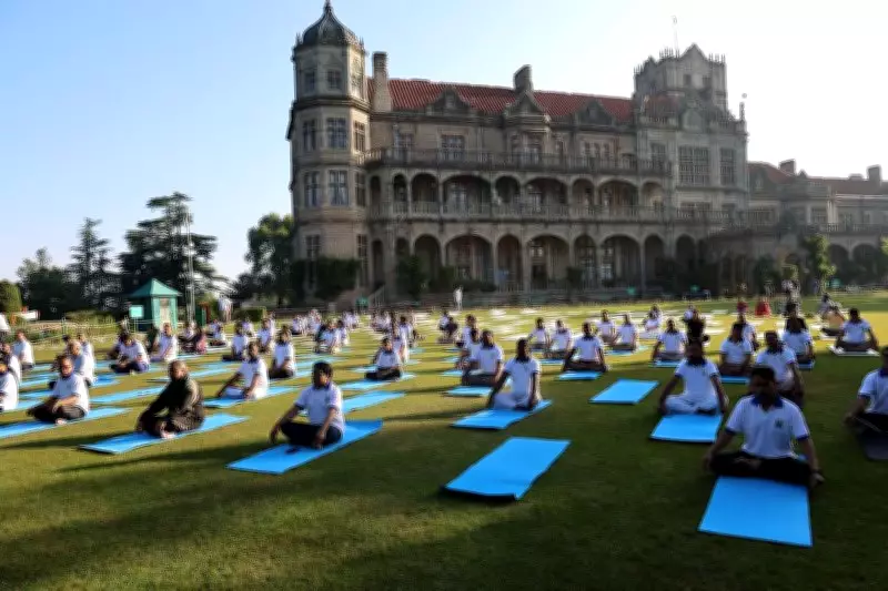 Yoga's Role in Building Mental Resilience Highlighted at IIAS Shimla