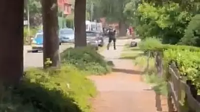 5 Killed in Germany Shooting, Two Suspects Detained: Police