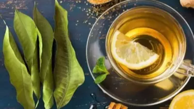 6 Smart Ways to Reuse Mango Leaves at Home Instead of Throwing Them Away
